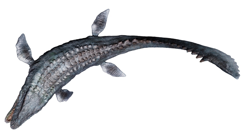 【3Dモデル】モササウルス