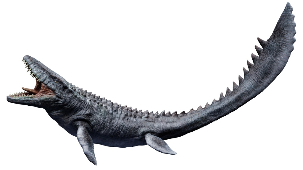 【3Dモデル】モササウルス