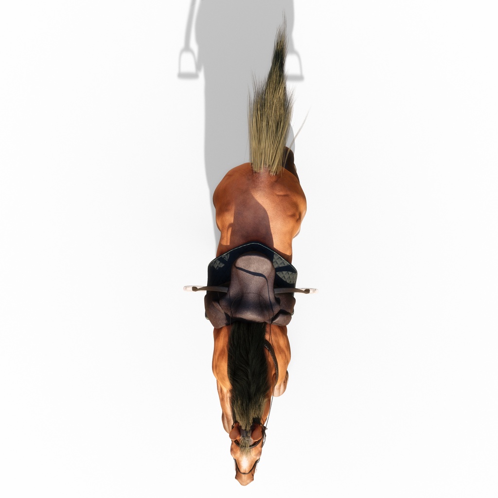 【3Dモデル】馬