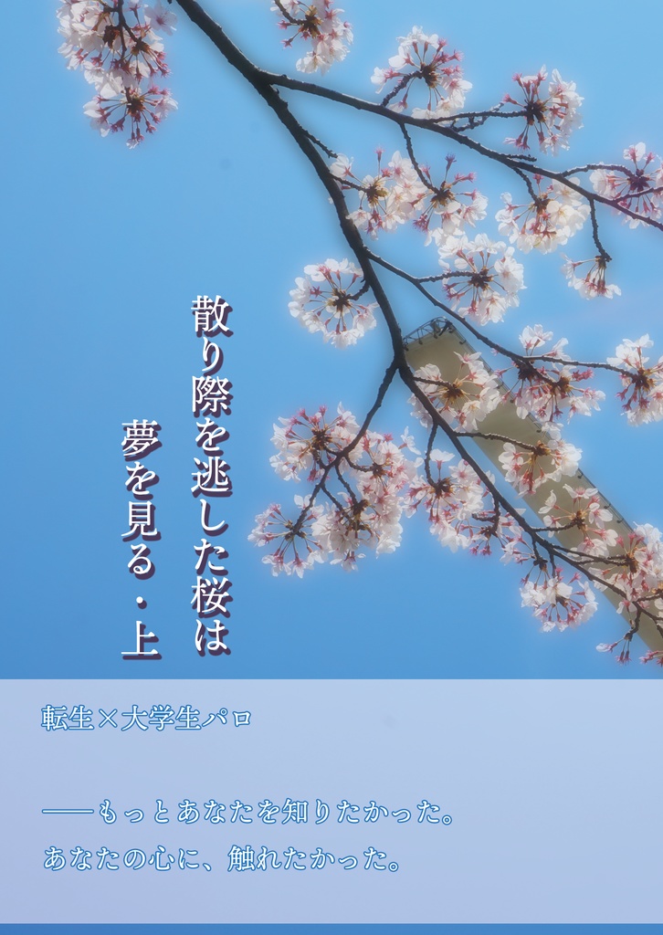 散り際を逃した桜は夢を見る・上