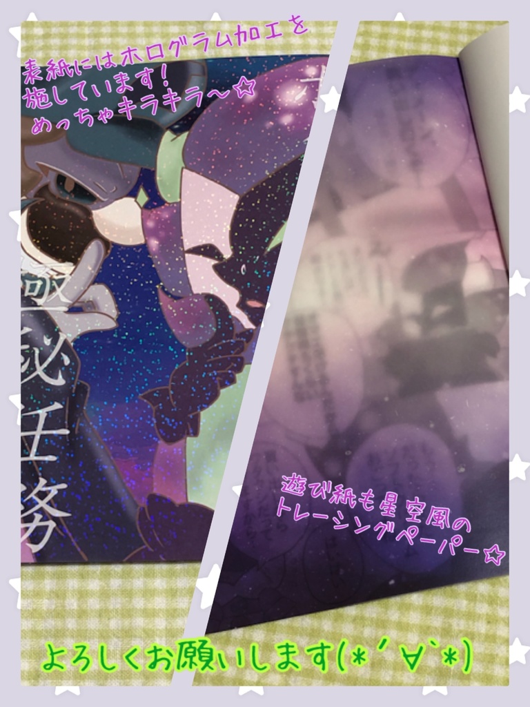 『ボクらだけの極秘任務』