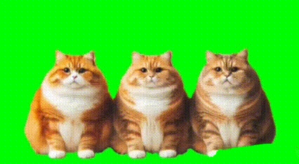 踊る猫（1）