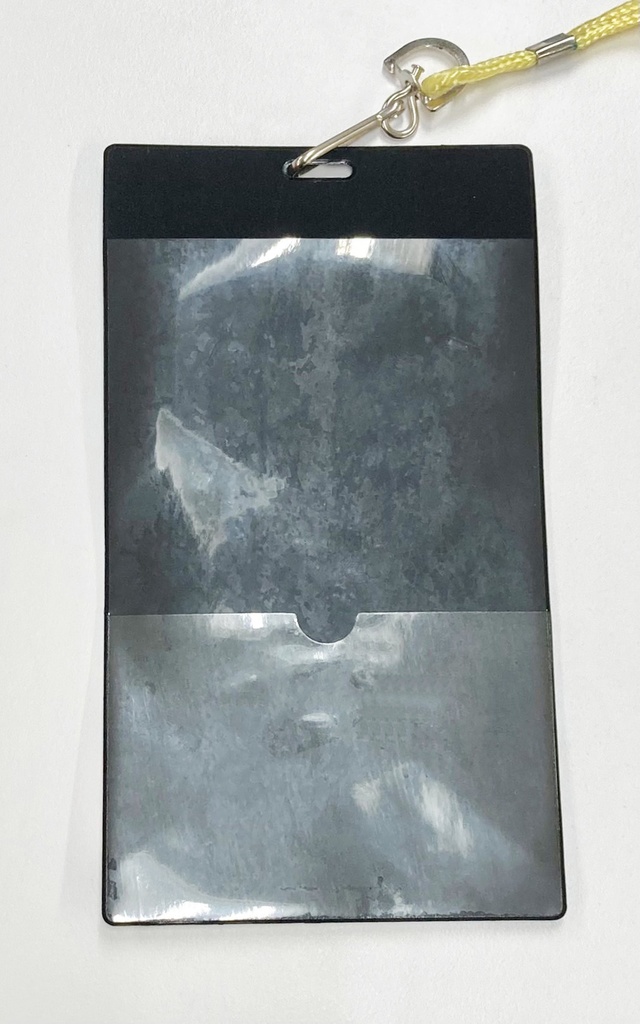 LUMINASYS SUMMERLIVE Exhibition/チケットホルダー