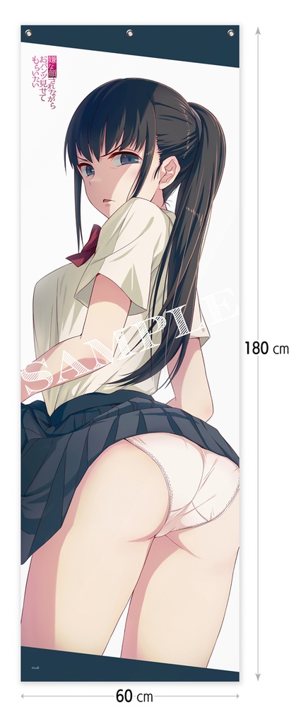 【受注生産】嫌な顔されながらおパンツ見せてもらいたい メガタペ/06 ＪＫさん