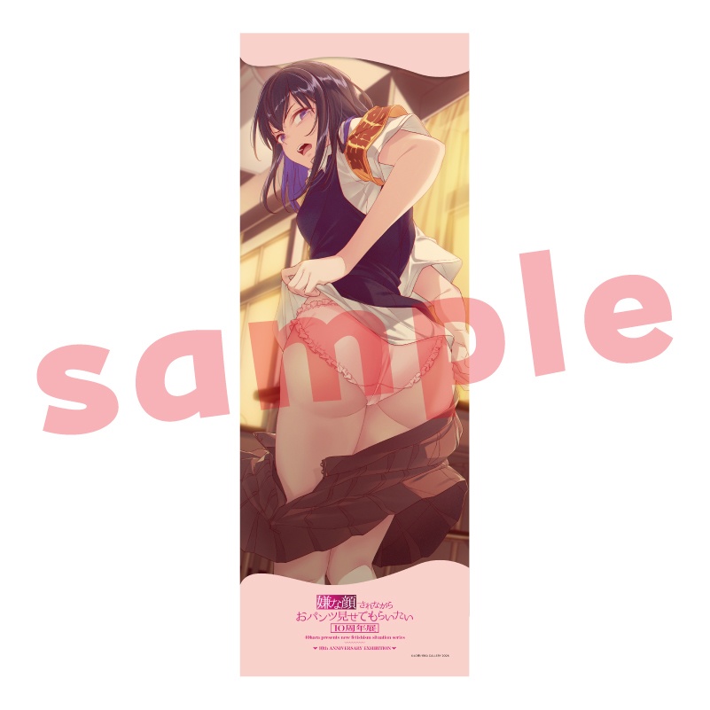 【受注生産】メガタペ『嫌な顔されながらおパンツ見せてもらいたい3』09