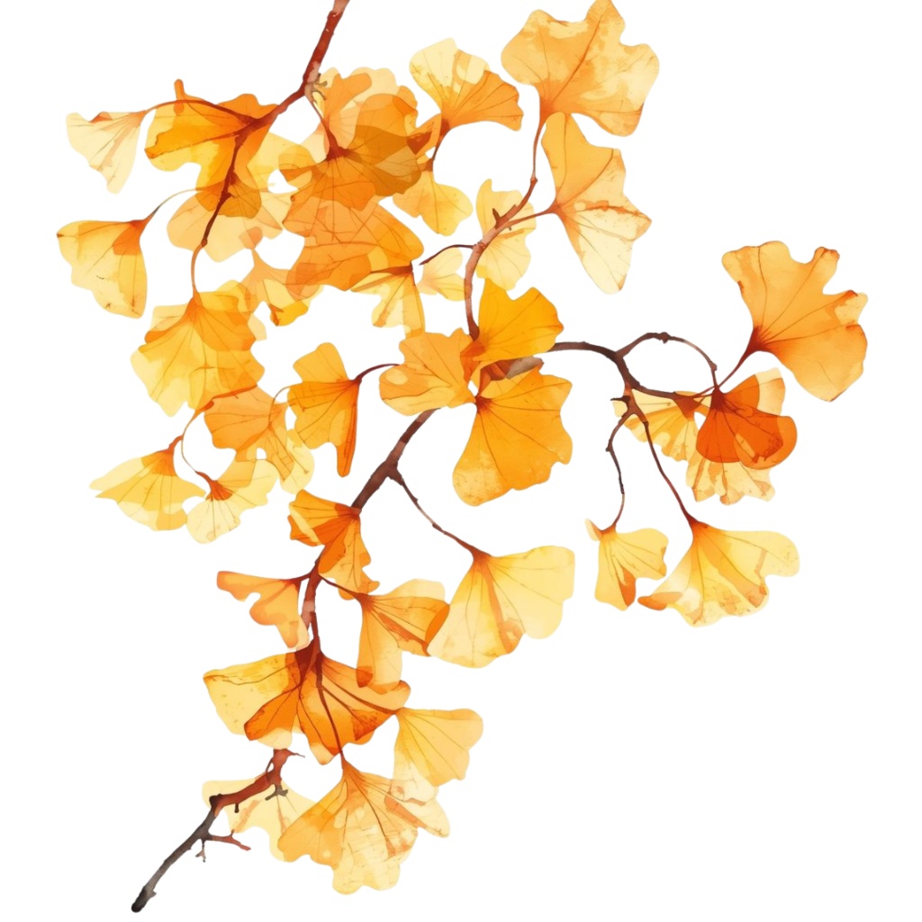 水彩タッチの秋の植物クリップアートセット