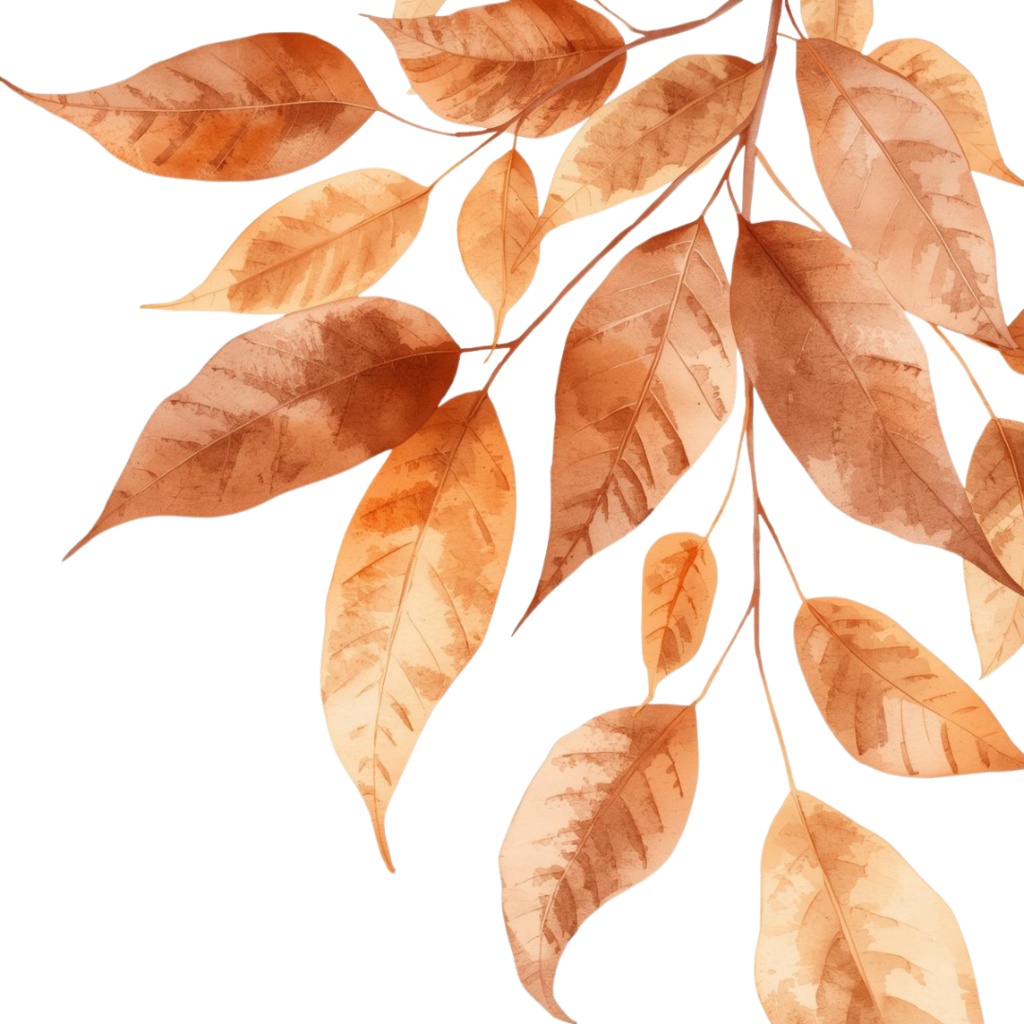 水彩タッチの秋の植物クリップアートセット