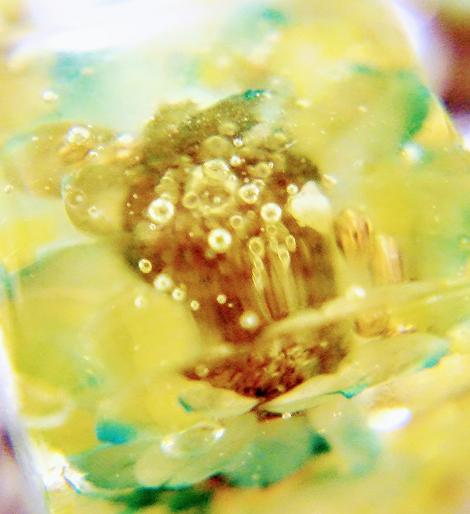 花 ピアス:イヤリング green+white/orange+white/bluegreen+white