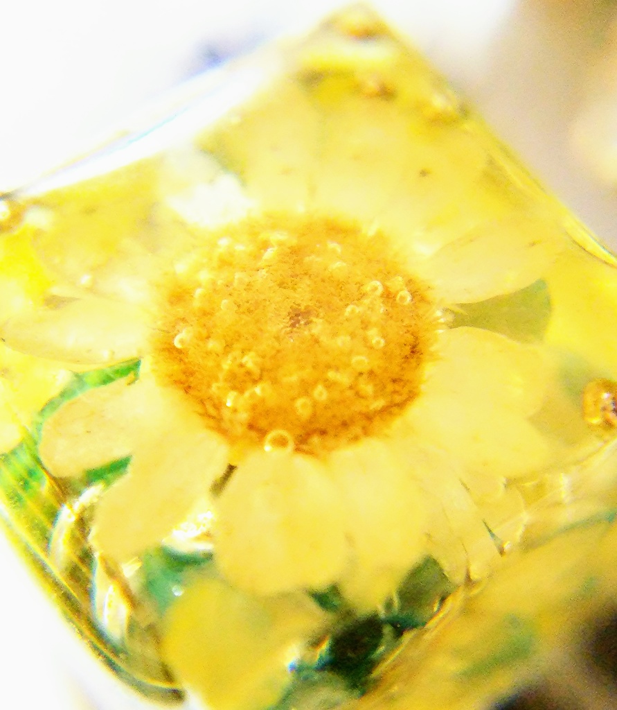 花 ピアス:イヤリング green+white/orange+white/bluegreen+white