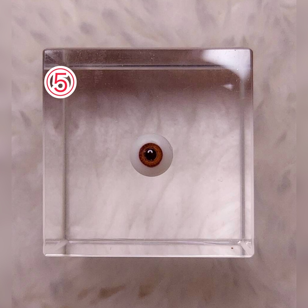 【5mm】ドールアイ