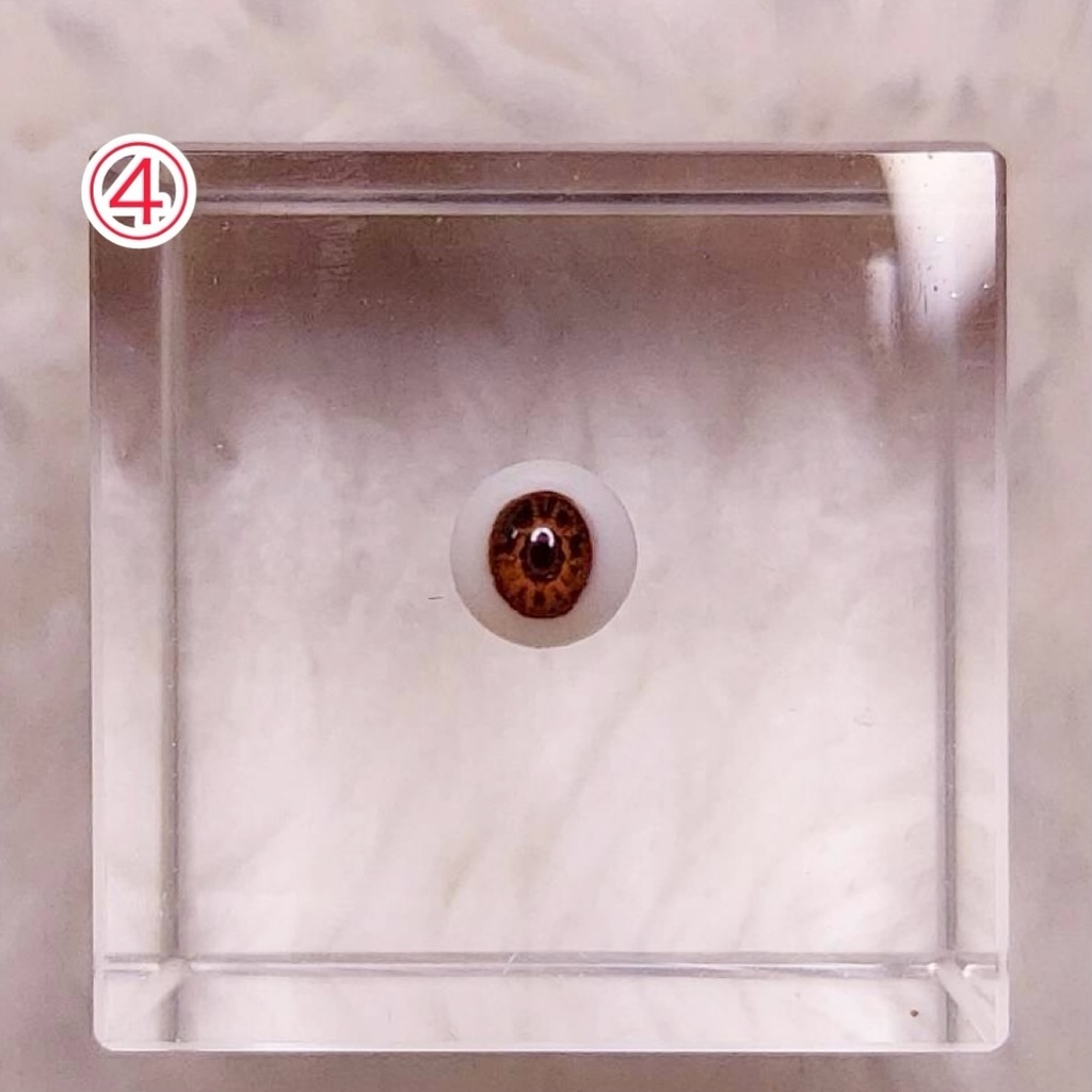 【5mm】ドールアイ