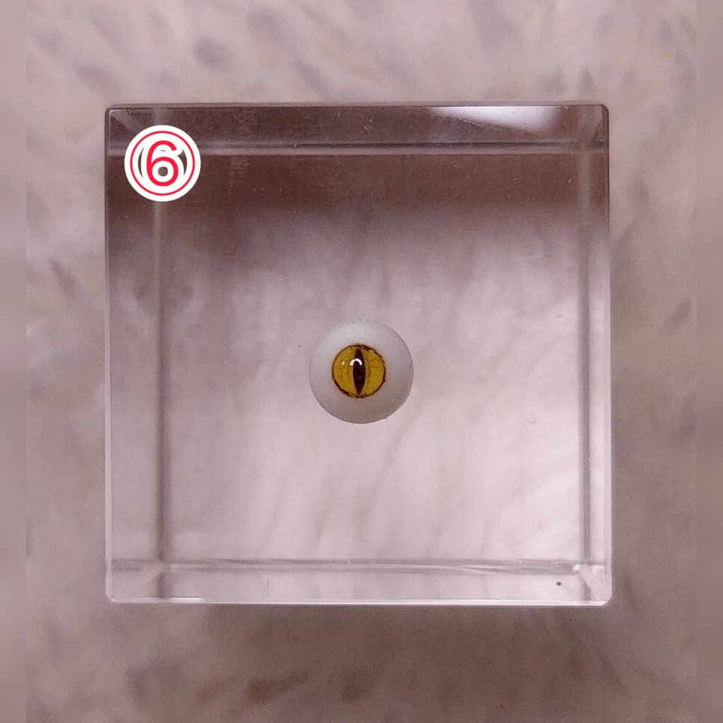 【5mm】ドールアイ