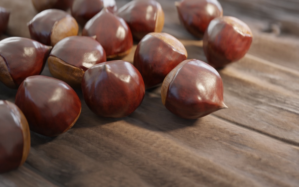 栗/chestnut 【2種】3Dモデル