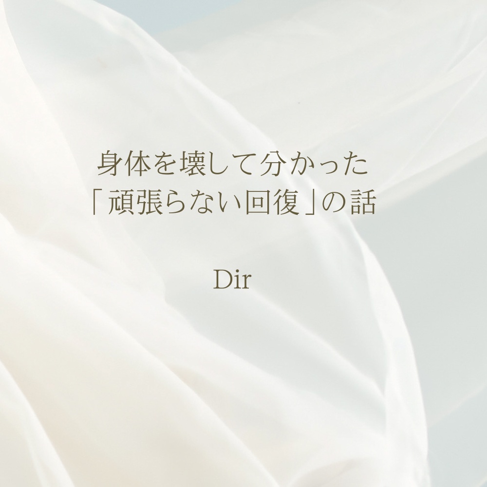 『身体を壊して分かった、“頑張らない回復”の話 ── 鬱・不調の中でも、生き延びるための養生メモ』