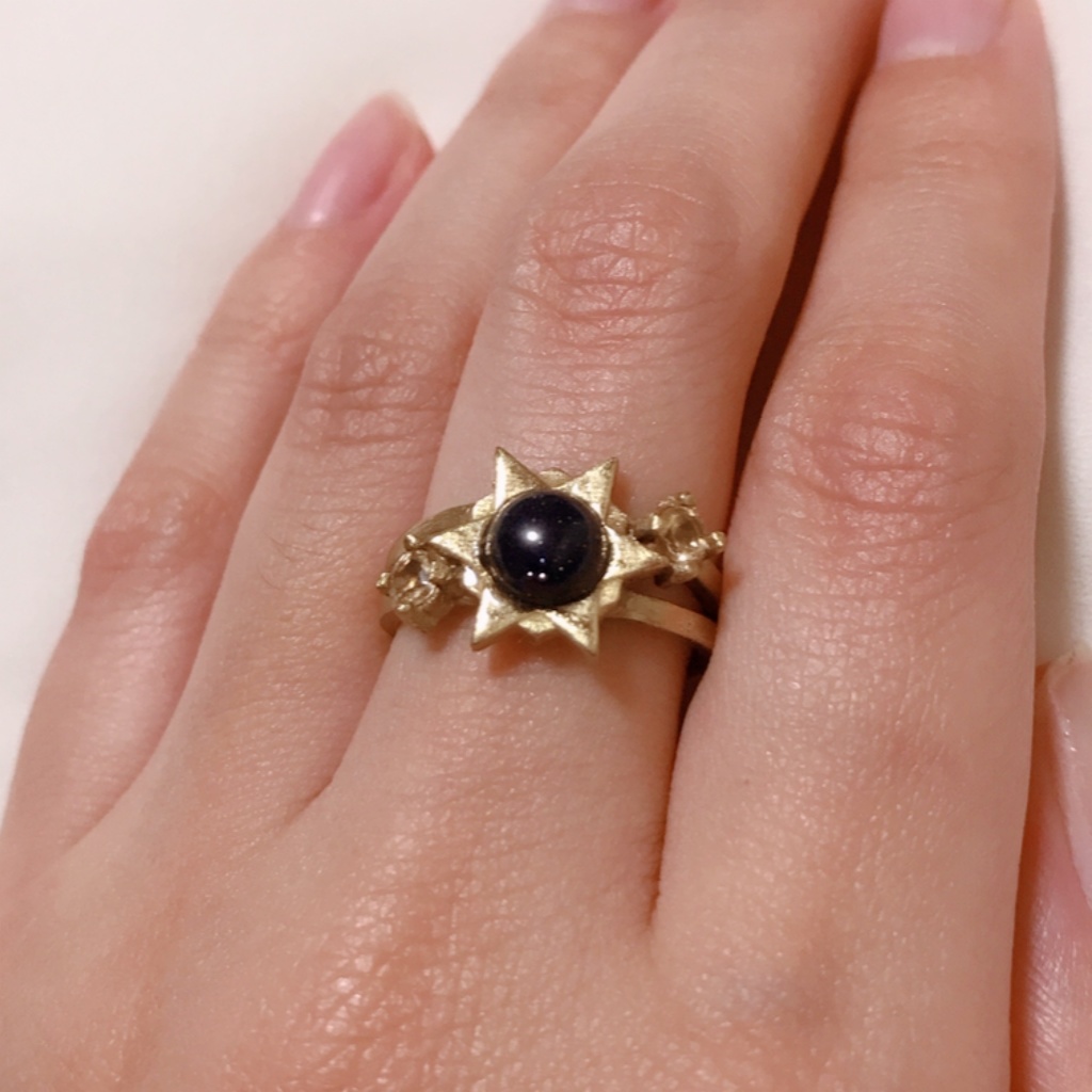 -Turner model Ring-