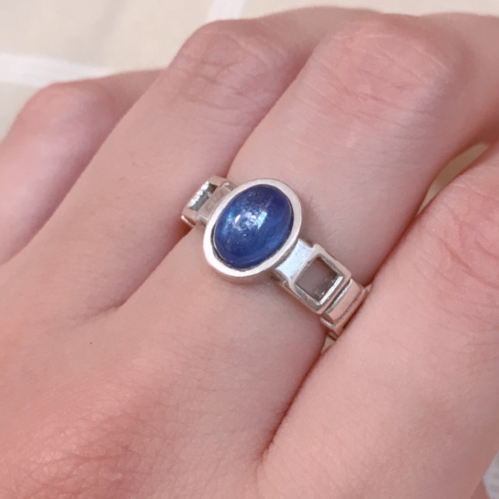 -Fujimori model ring-