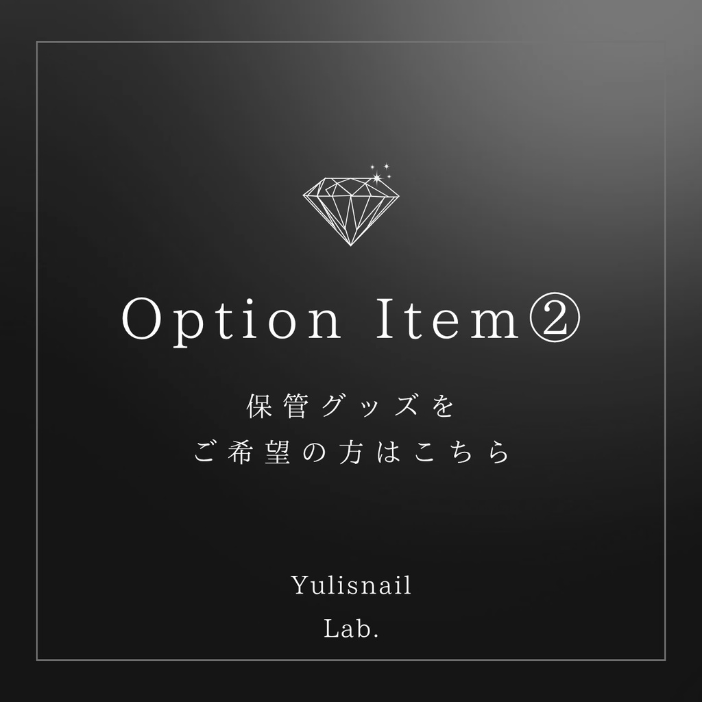 Option Item② 2段チップケース