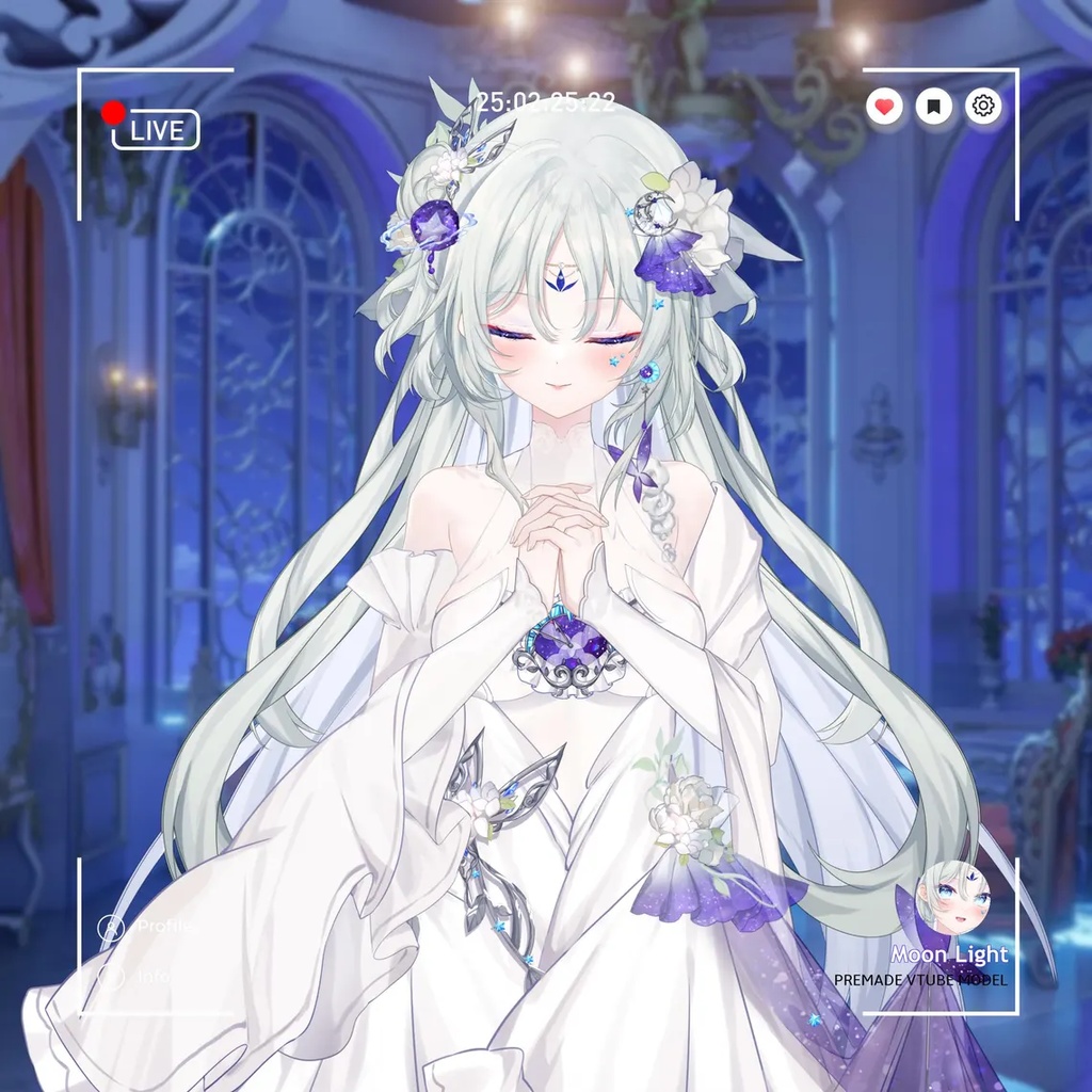 Premade Live2d Model / Moon Light Vtuber Model
