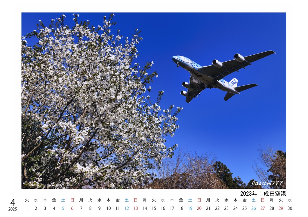 Scene in the SKY 2025(A5卓上カレンダー)