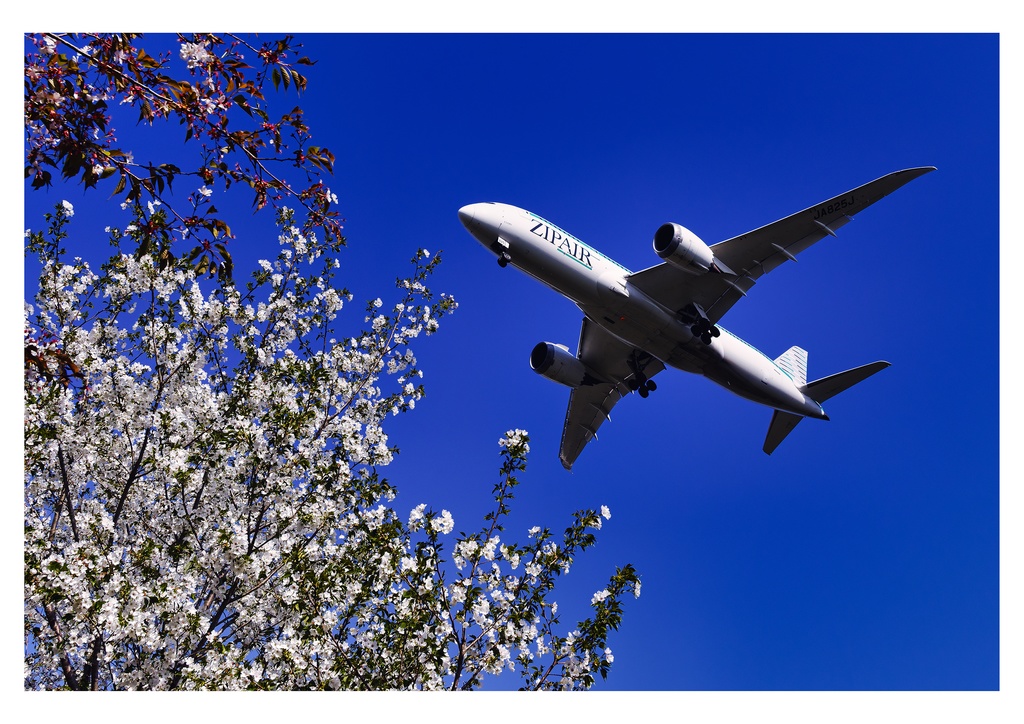 Scene in the SKY 2026(A3壁掛けカレンダー)