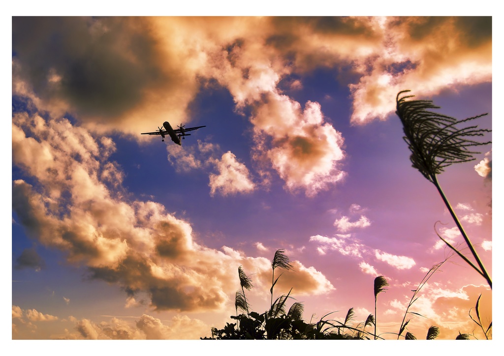 Scene in the SKY 2026(A3壁掛けカレンダー)