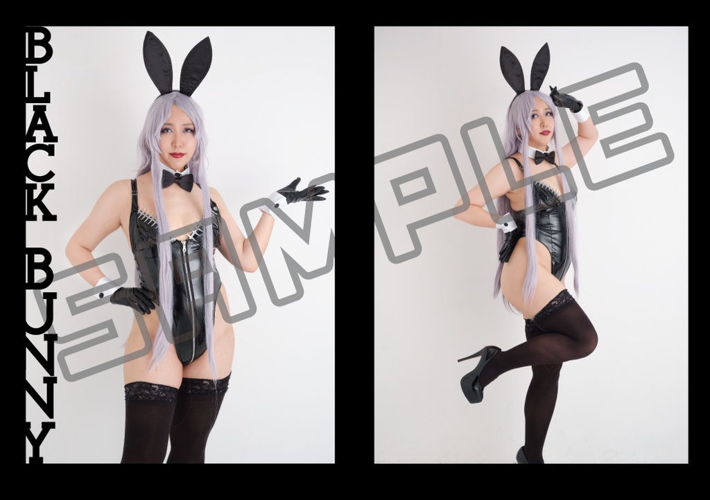 バニーガール詰め合わせ写真集「LOVE BUNNIES」