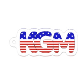 分かる人だけに分かるアクキーシリーズ