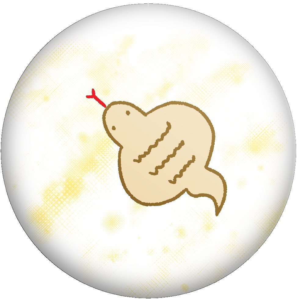 ぽかぽかどうぶつえん 缶バッジ