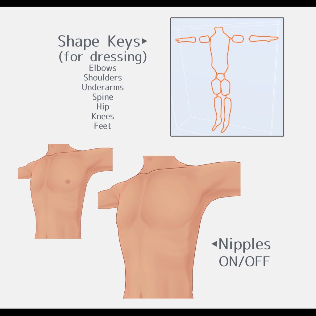 ANTNEST 男性素体 (MaleBasebody)