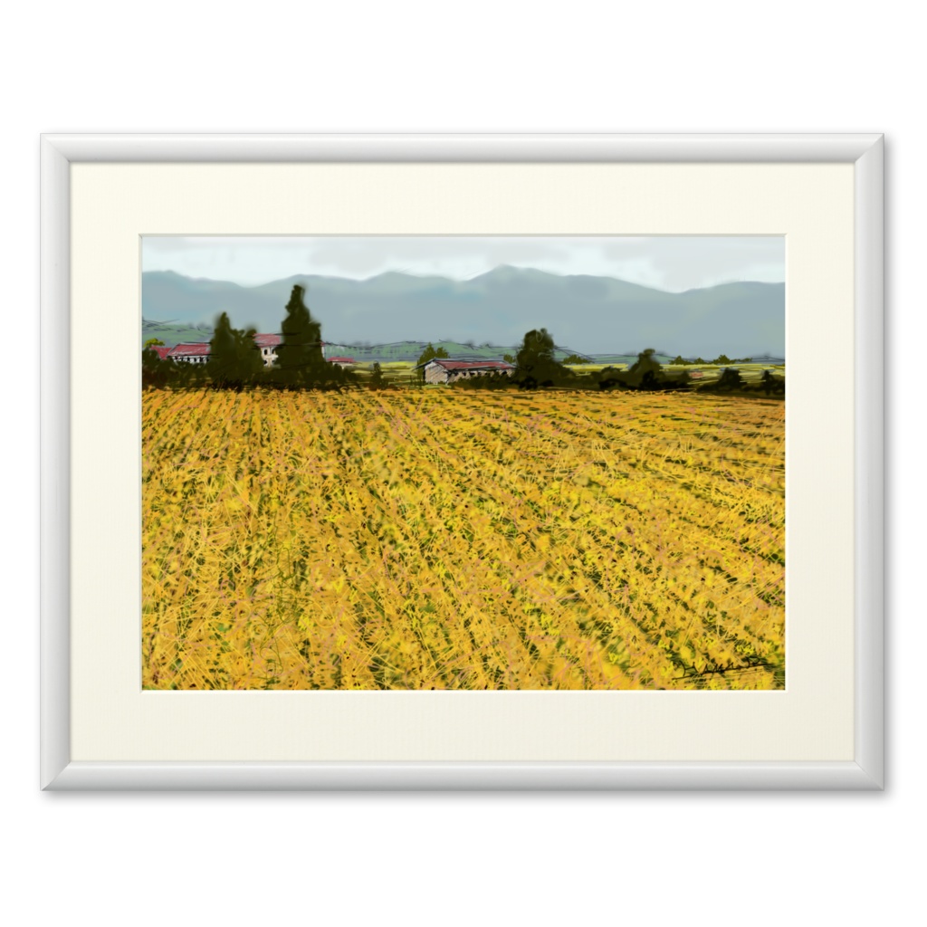 トスカーナの夏　Summer scean at Toscana,Itaria