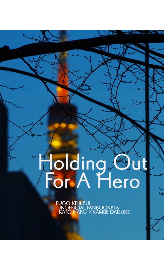 Holding Out For A Hero