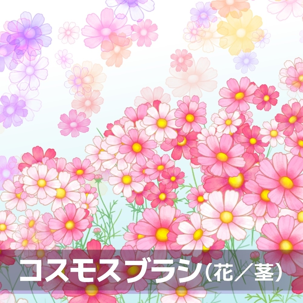 コスモスブラシ