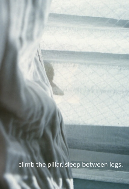 climb the pillar, sleep between legs.＋マチ