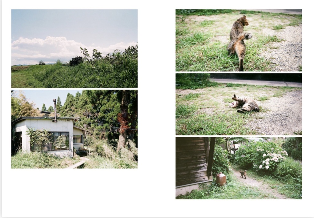 climb the pillar, sleep between legs.+マチ