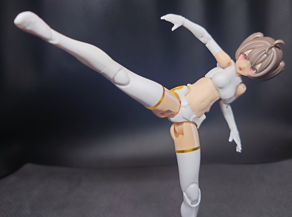 TB-002 メガミコネクトボディ block2