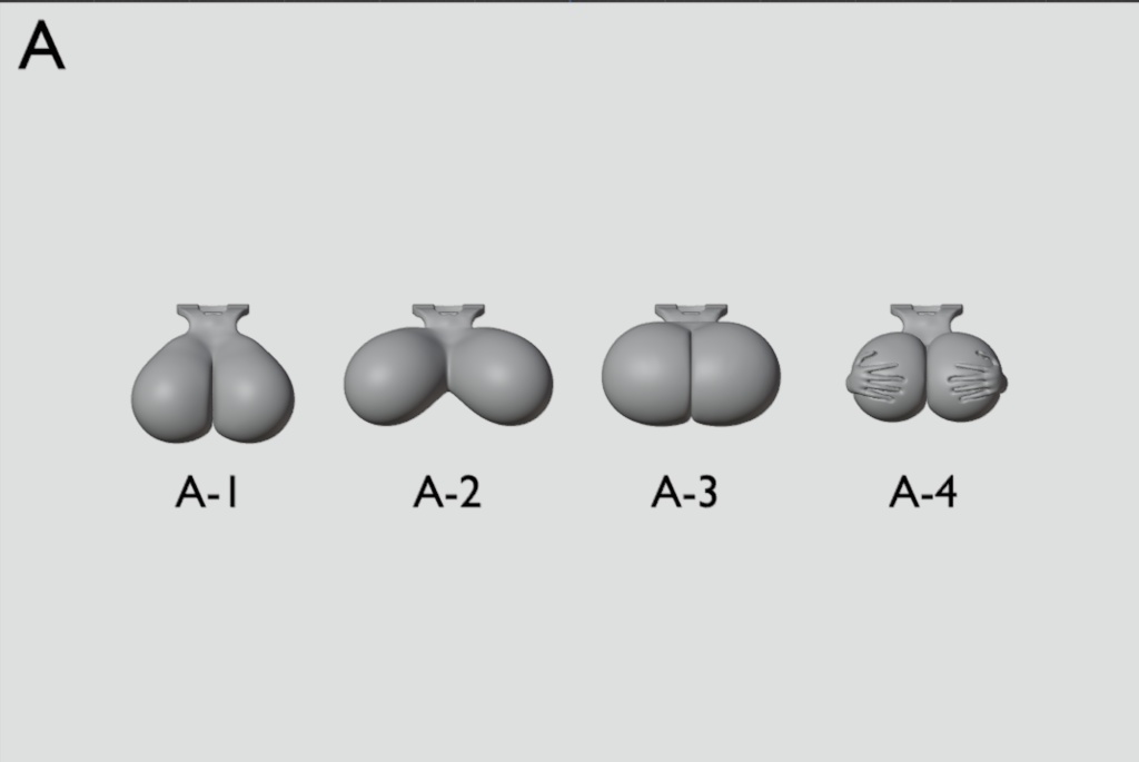 TB-003-L メガミブレスト block2 Lサイズ(生産終了・リクエスト生産のみ)