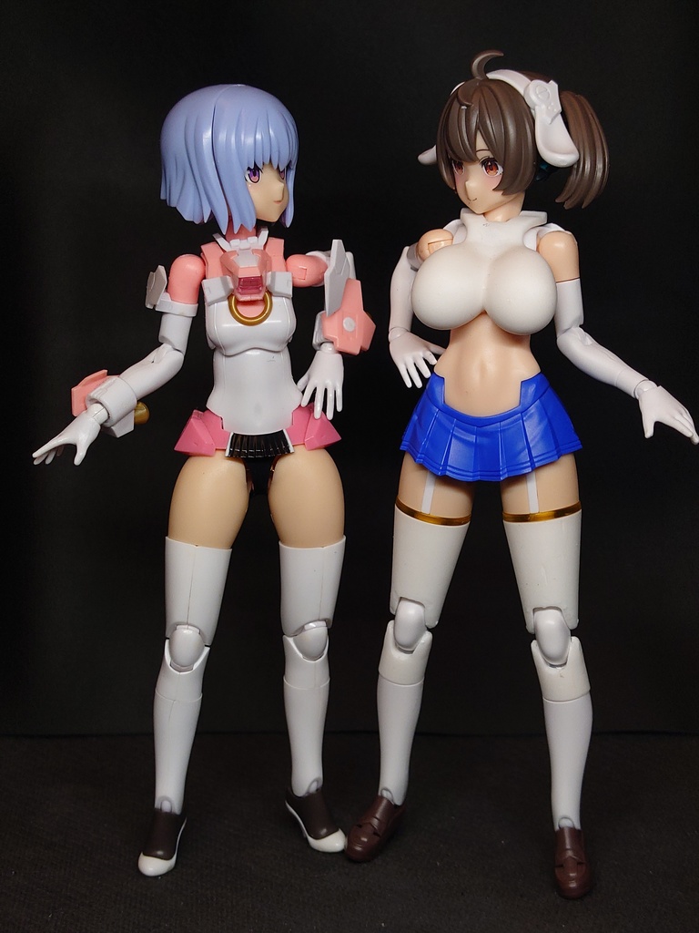 TB-004 メガミレッグ block2