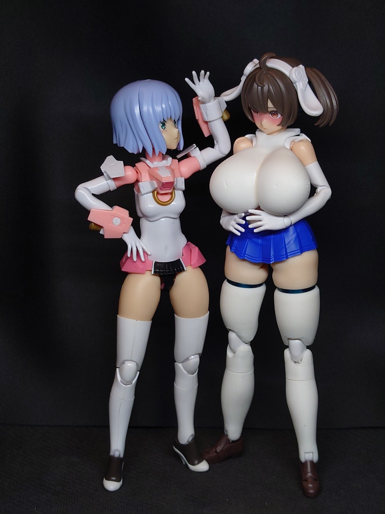 TB-004 メガミレッグ block2