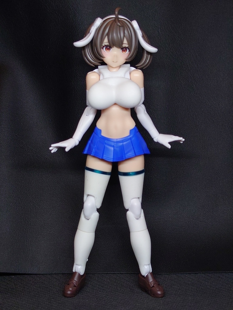 TB-004 メガミレッグ block2