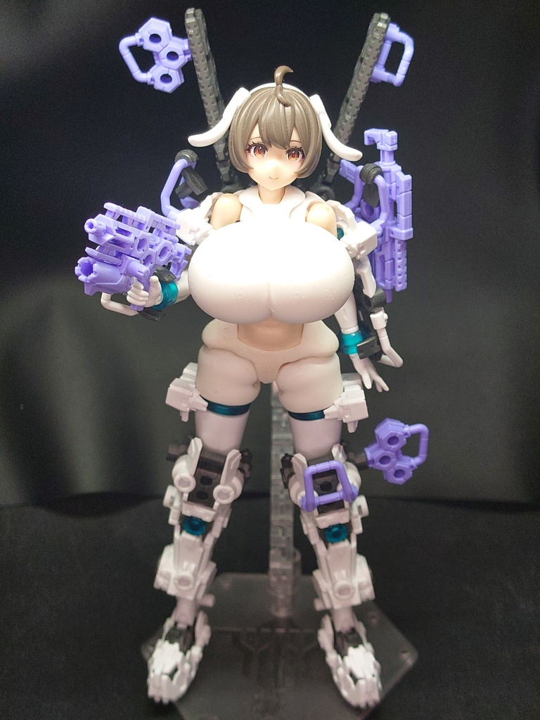 TB-003-Re メガミブレスト-L_Ver2 block2