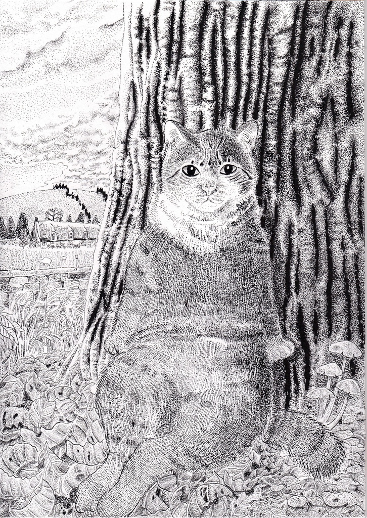 田舎猫