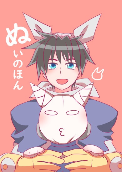 ぬいのほん