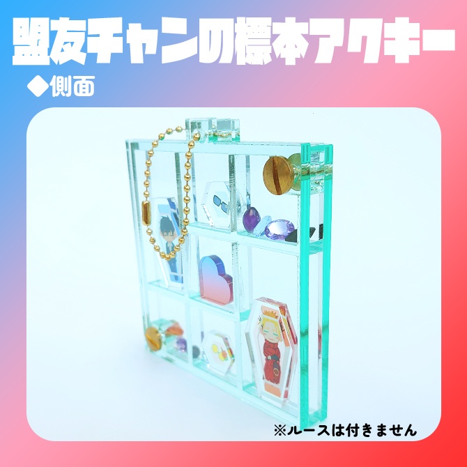盟友チャンの標本シャカシャカアクキー