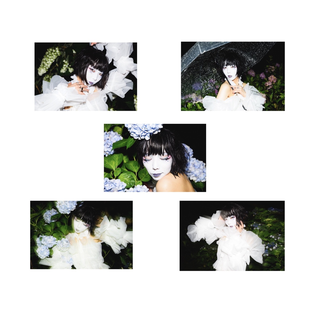 Photo set Ajisai