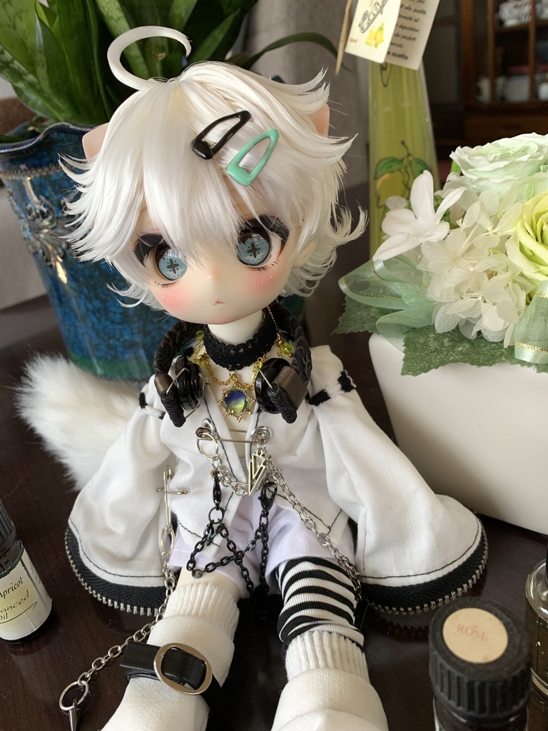 展示：TinyFox カスタムドール②