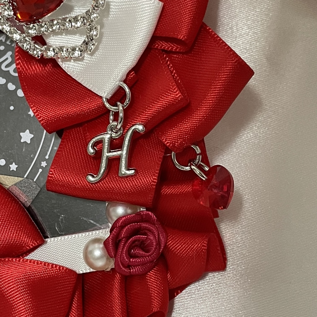 ドレッシーなくまさんケース