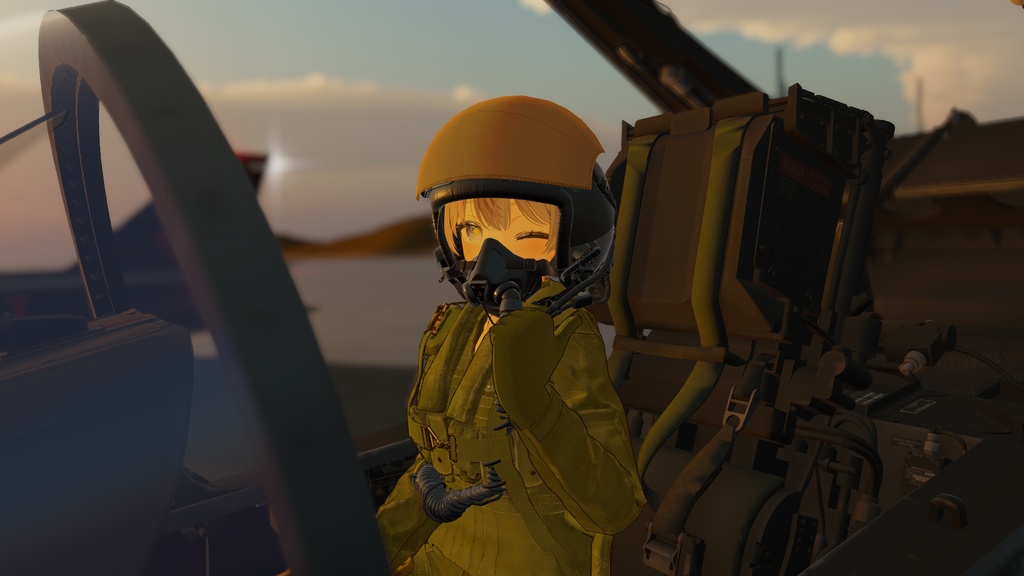 バイザーカバー