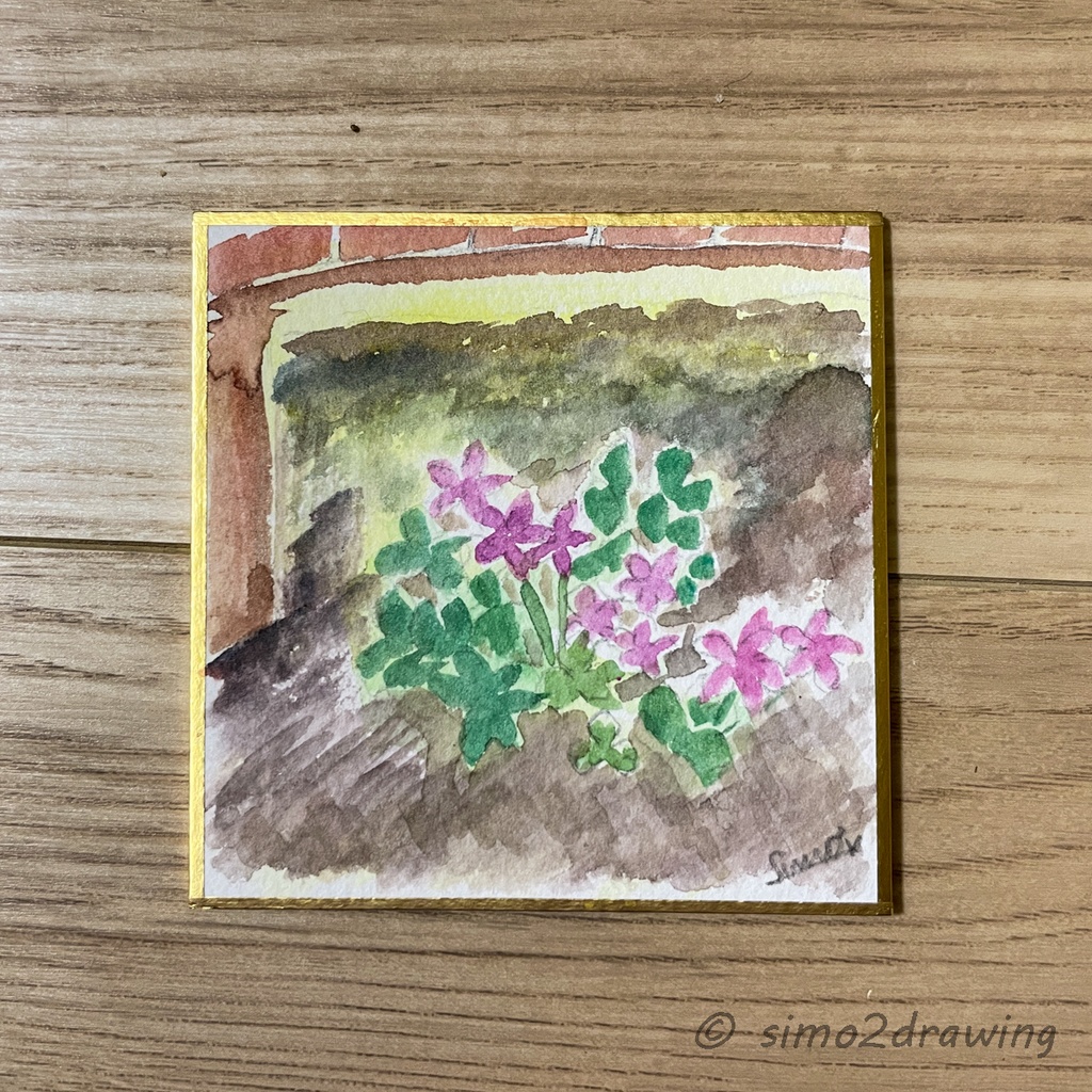 姫・豆色紙『初夏の井の頭 ベンチの下に咲く花』