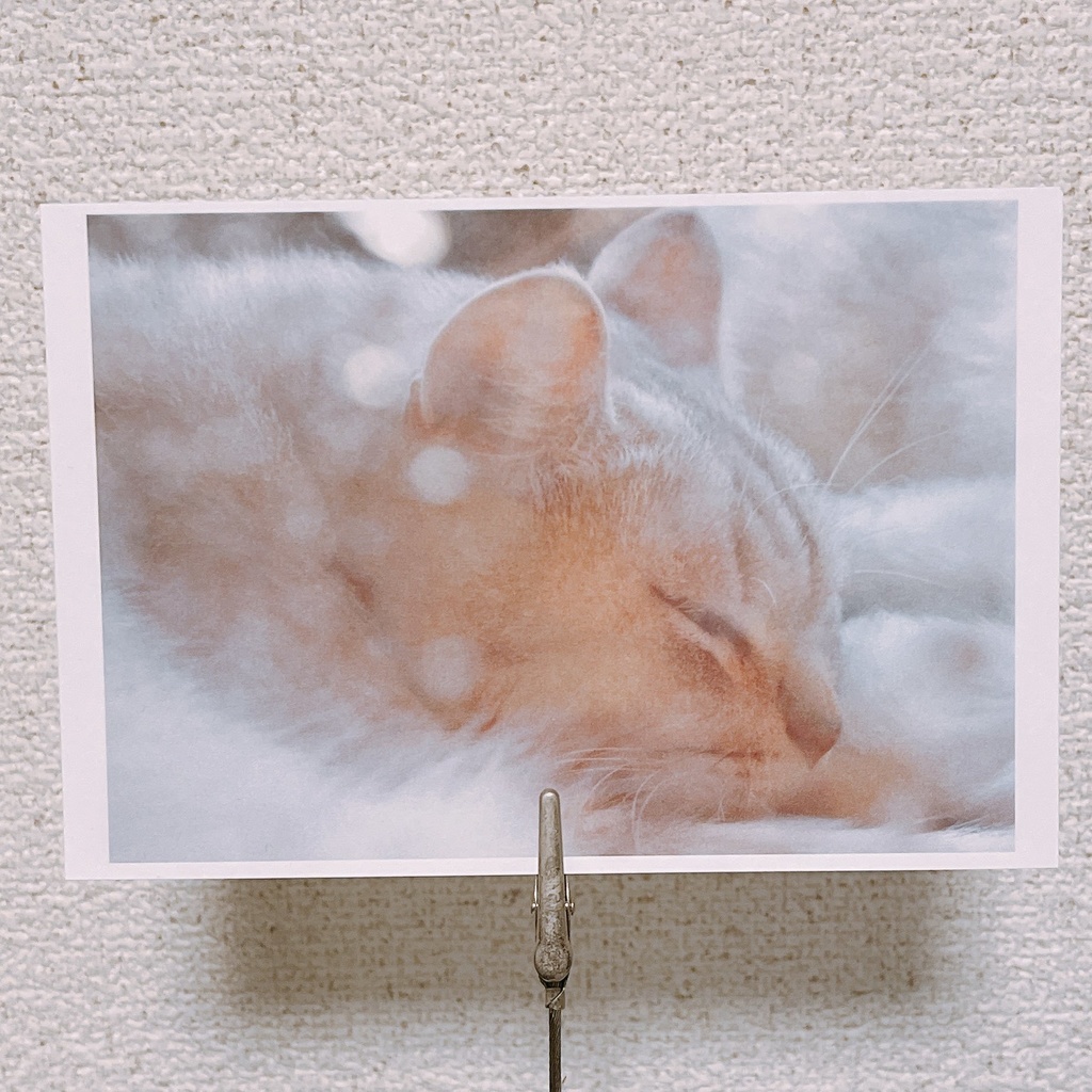 ポストカード「良い夢を」