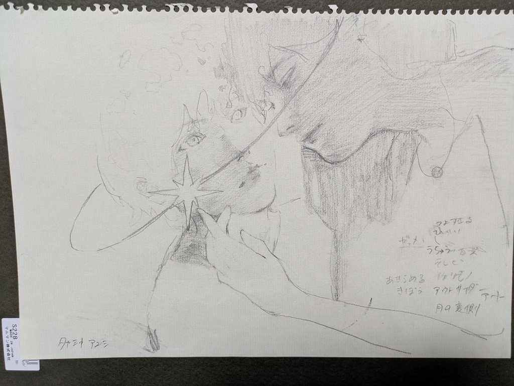 エスキース　シャクルトンクレーター